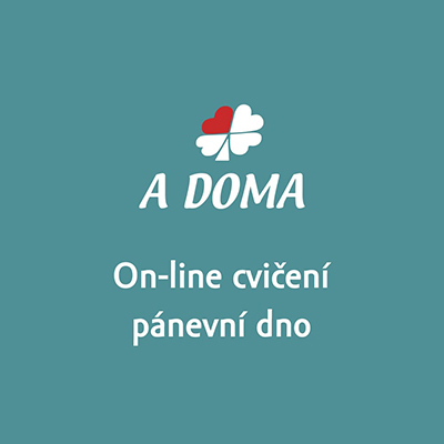 online cvičení pánevní dno